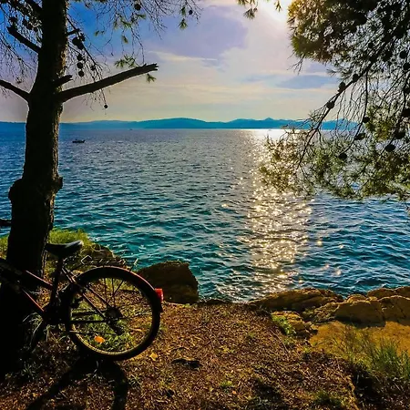 & Hosana Lejlighed *