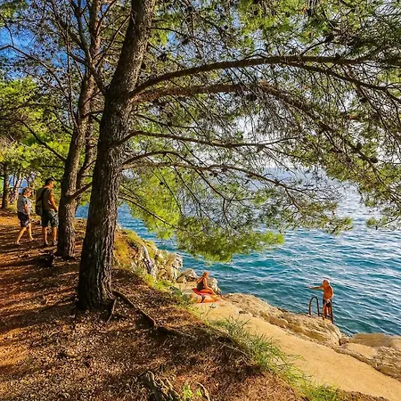 Lejlighed & Hosana *